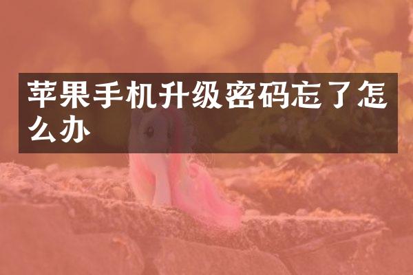 苹果手机升级密码忘了怎么办