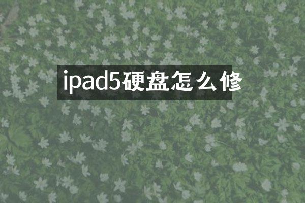 ipad5硬盘怎么修