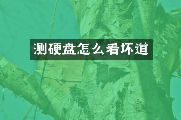 测硬盘怎么看坏道