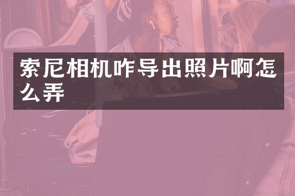 相机咋导出照片啊怎么弄
