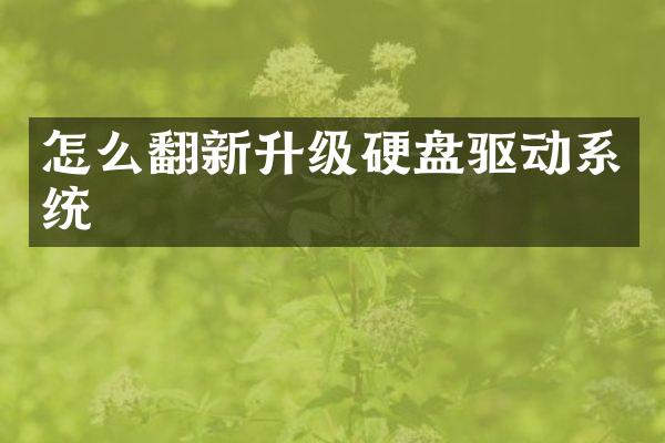 怎么翻新升级硬盘驱动系统
