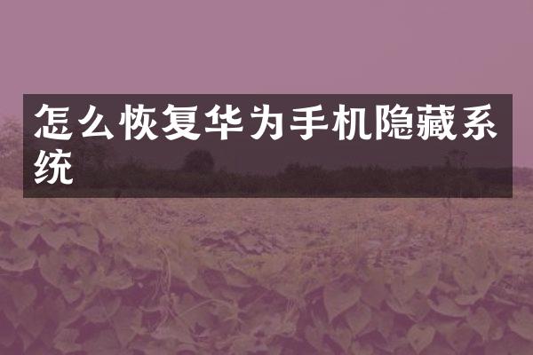 怎么恢复华为手机隐藏系统