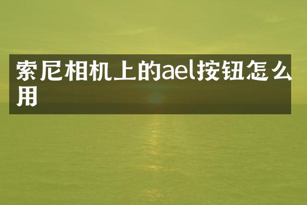 相机上的ael按钮怎么用