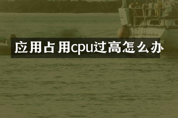 应用占用cpu过高怎么办