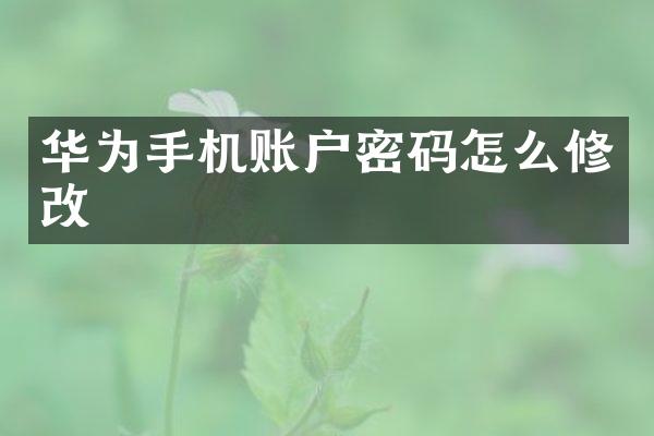 华为手机账户密码怎么修改