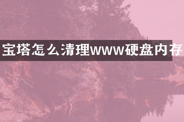 宝塔怎么清理www硬盘内存