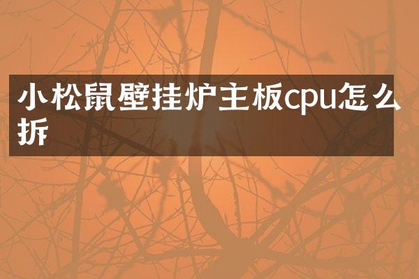 小松鼠壁挂炉主板cpu怎么拆