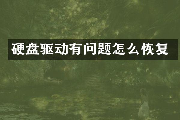 硬盘驱动有问题怎么恢复