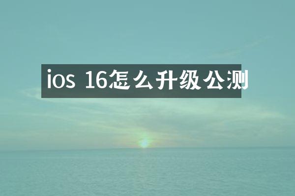 ios 16怎么升级公测