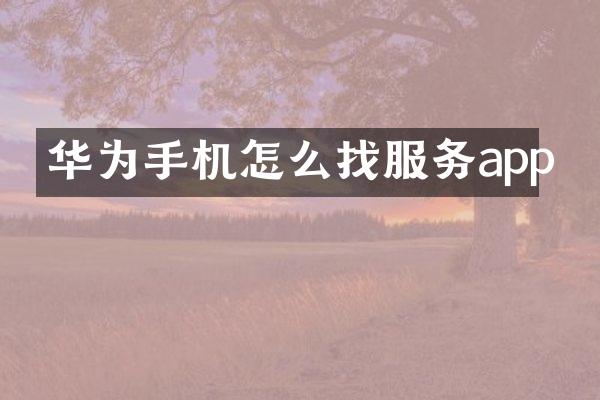 华为手机怎么找服务app