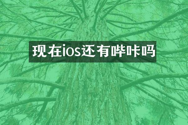 现在ios还有哔咔吗