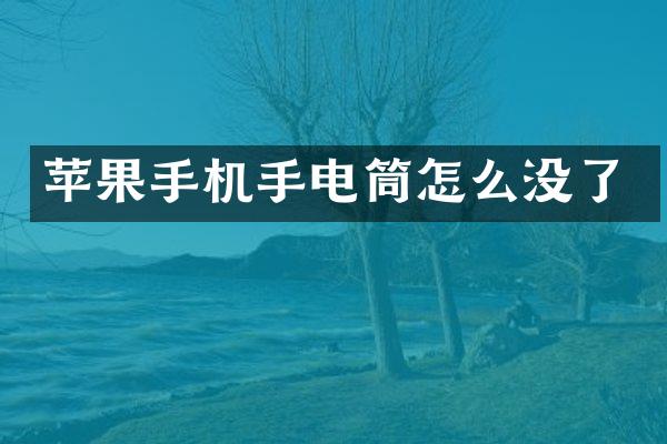 苹果手机手电筒怎么没了