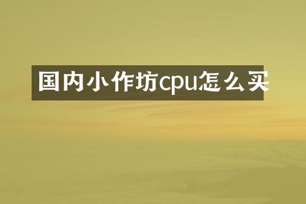 国内小作坊cpu怎么买
