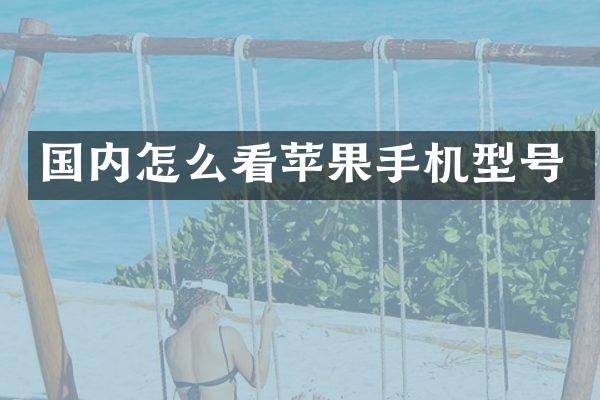国内怎么看苹果手机型号