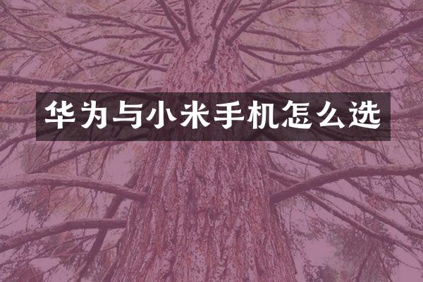 华为与小米手机怎么选