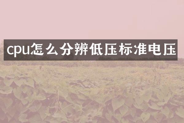 cpu怎么分辨低压标准电压