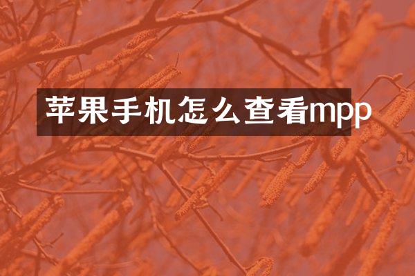 苹果手机怎么查看mpp