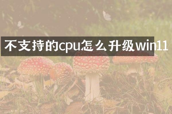 不支持的cpu怎么升级win11