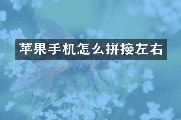 苹果手机怎么拼接左右