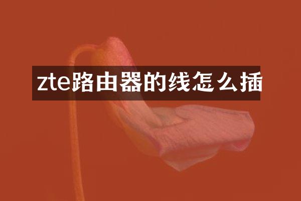 zte路由器的线怎么插