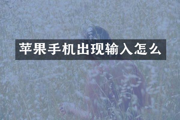 苹果手机出现输入怎么