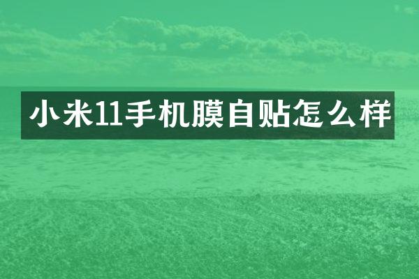 小米11手机膜自贴怎么样