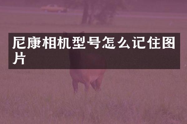 尼康相机型号怎么记住图片