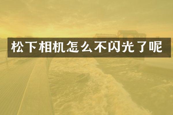 相机怎么不闪光了呢