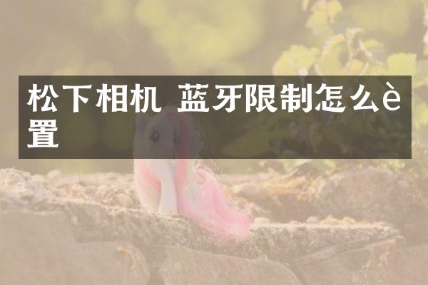 相机 蓝牙限制怎么设置