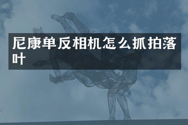 尼康单反相机怎么抓拍落叶