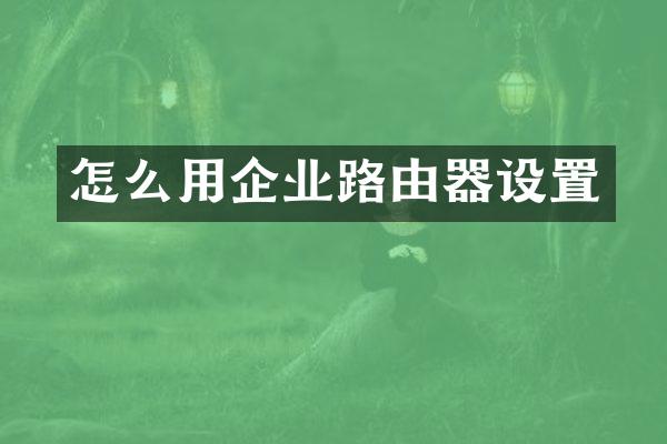 怎么用企业路由器设置