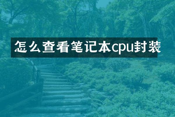 怎么查看笔记本cpu封装