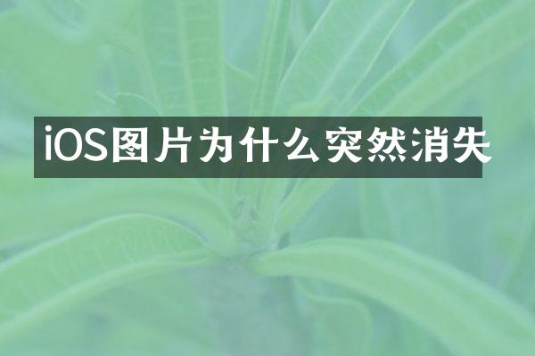 iOS图片为什么突然消失