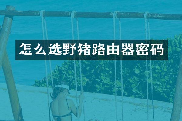 怎么选野猪路由器密码