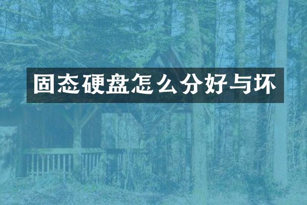 固态硬盘怎么分好与坏