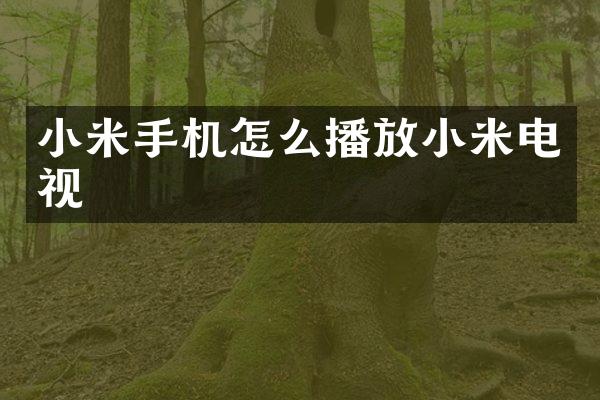 小米手机怎么播放小米电视