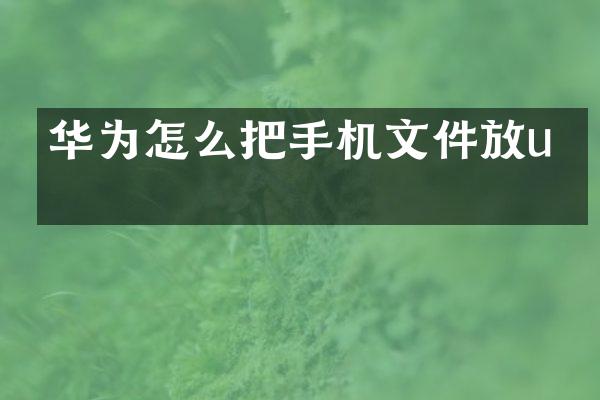 华为怎么把手机文件放u盘