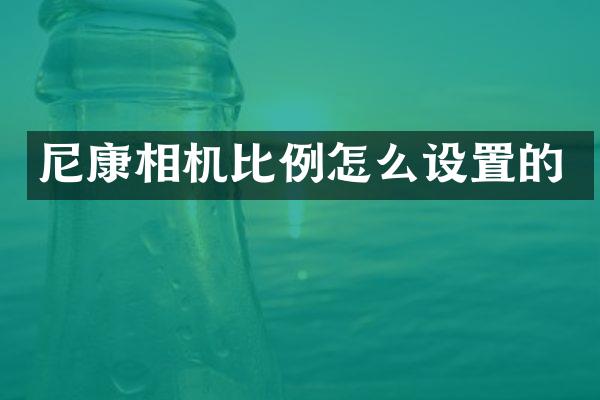 尼康相机比例怎么设置的