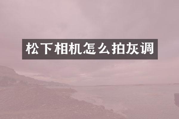 相机怎么拍灰调