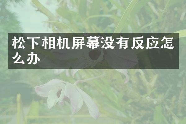相机屏幕没有反应怎么办