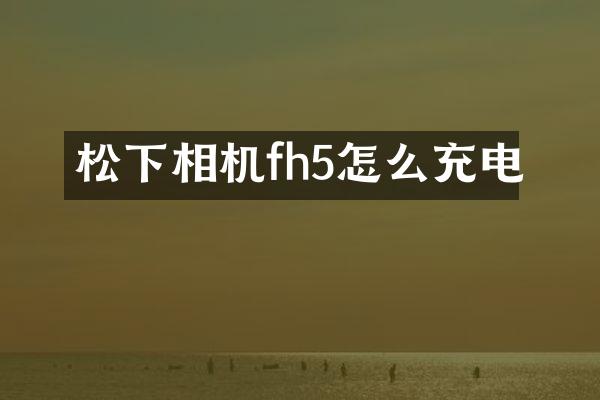 相机fh5怎么充电
