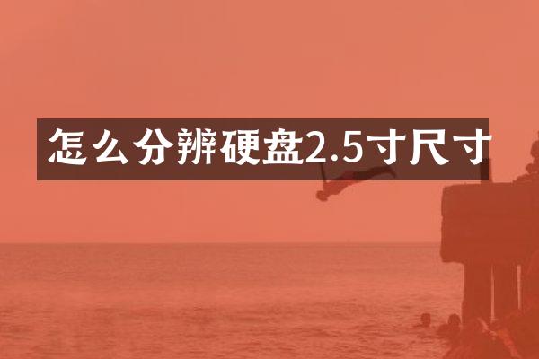 怎么分辨硬盘2.5寸尺寸