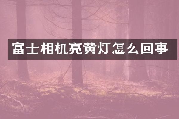 富士相机亮黄灯怎么回事