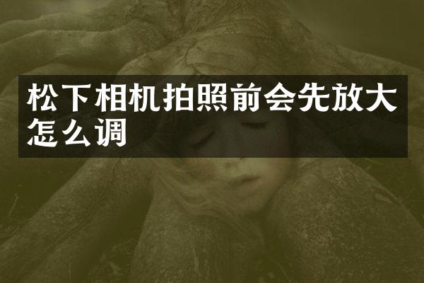 相机拍照前会先放大怎么调