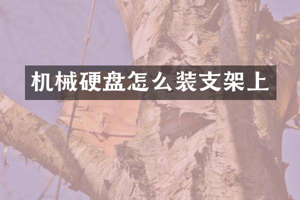 机械硬盘怎么装支架上