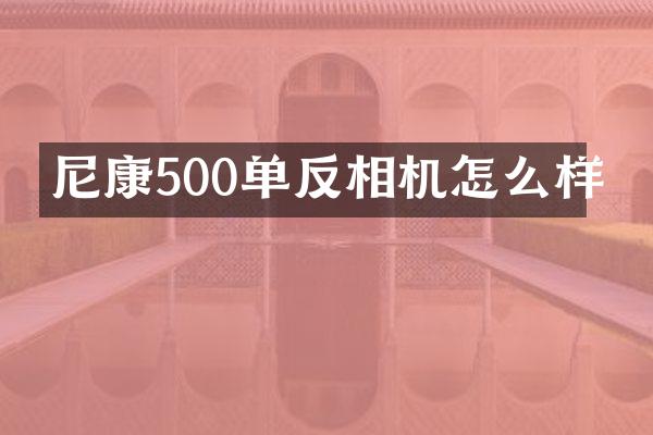 尼康500单反相机怎么样