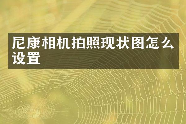 尼康相机拍照现状图怎么设置