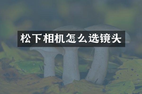 相机怎么选镜头