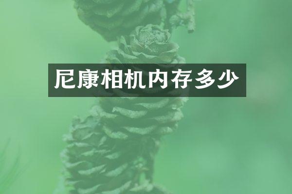 尼康相机内存多少