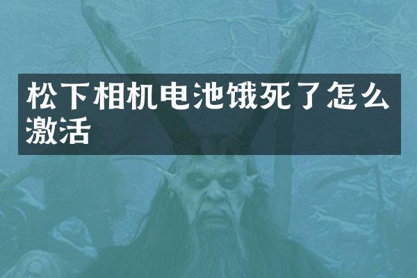 相机电池饿死了怎么激活